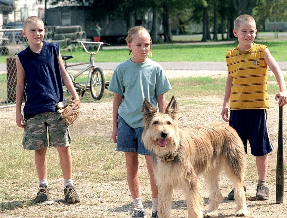 Photo from the movie Because of Winn-Dixie