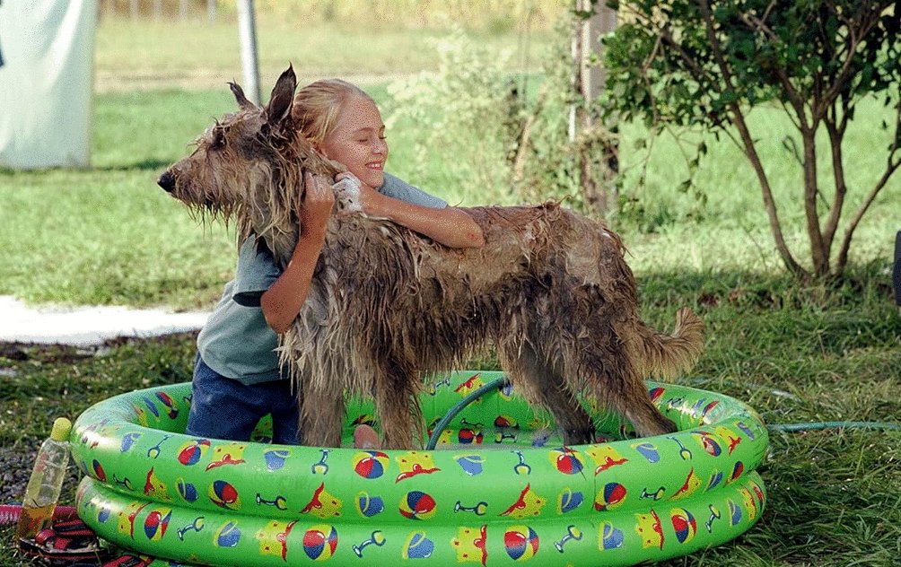 Photo from the movie Because of Winn-Dixie