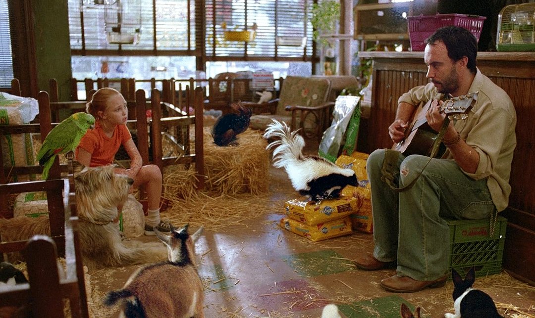 Photo from the movie Because of Winn-Dixie