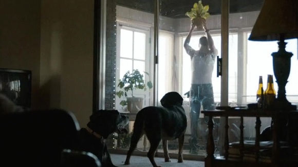 Photo du film Cop Car