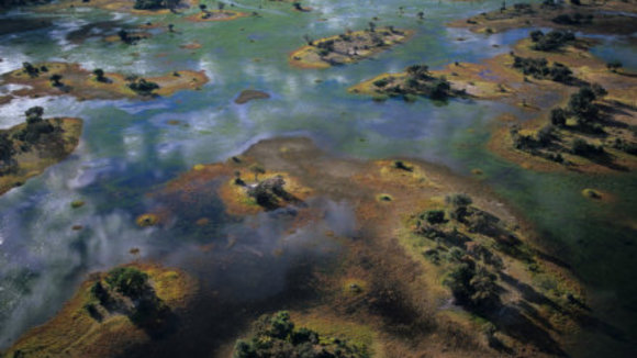 Photo from the movie Disneynature: Earth