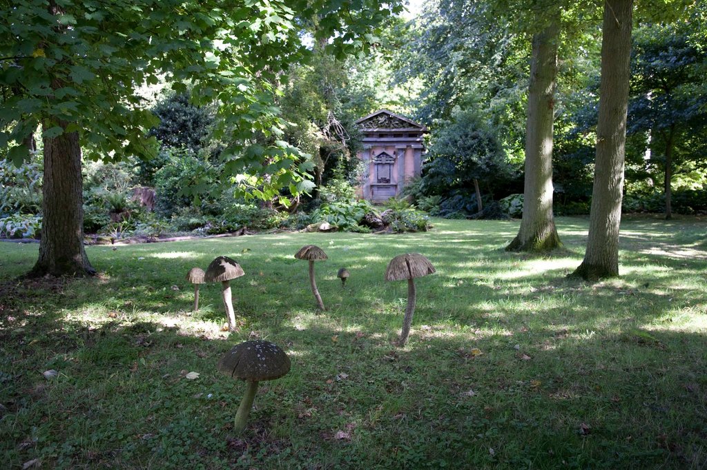 Photo du film Fantastic Fungi