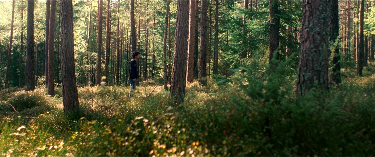 Photo from the movie Ghabe