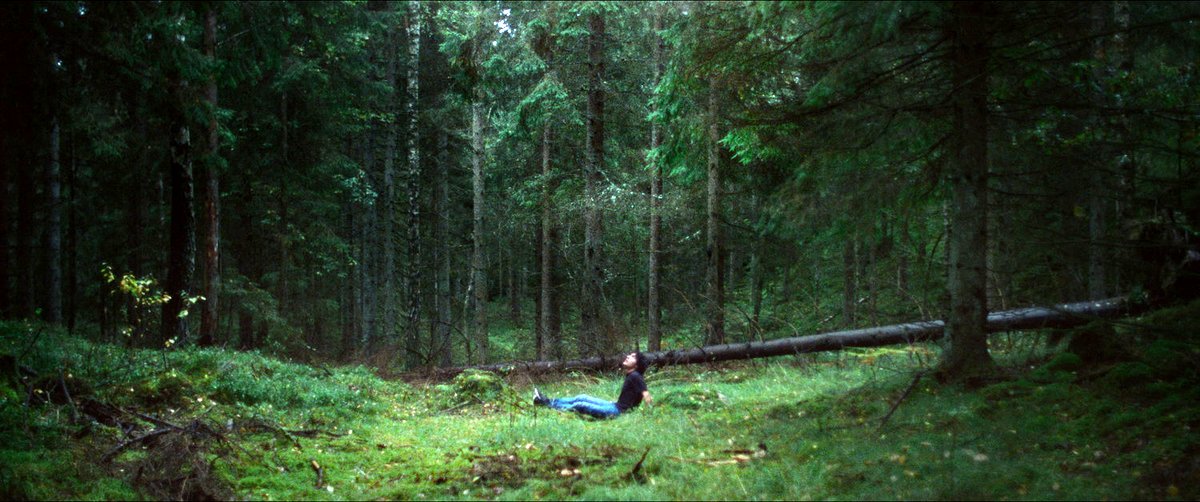 Photo from the movie Ghabe