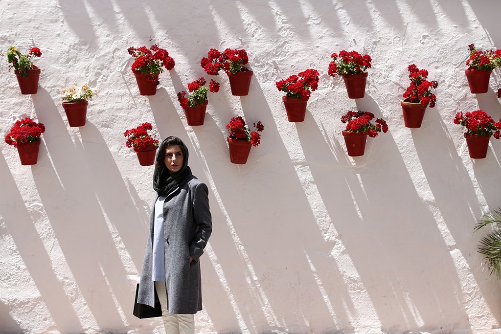 Photo du film A Man without a Shadow