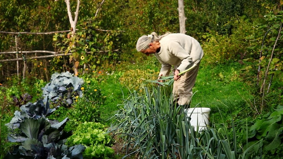 Photo from the movie H.O.P.E.: What You Eat Matters