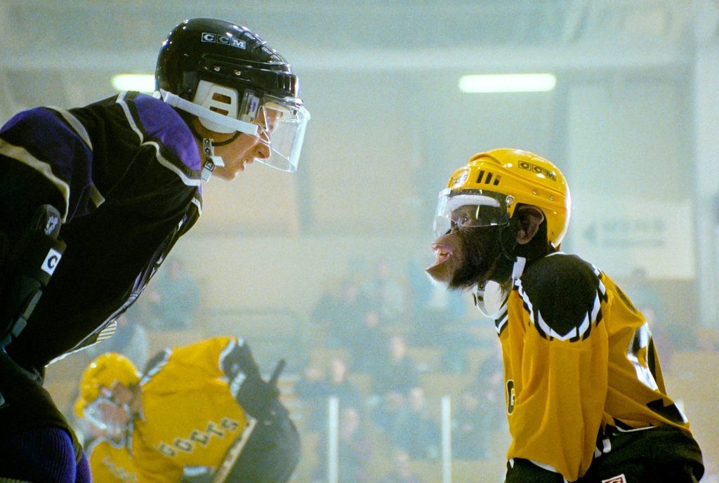 Photo du film MVP: Mon Vaillant Primate