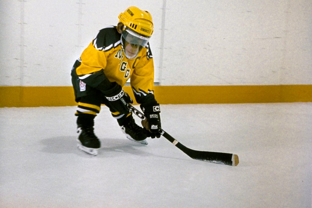 Photo du film MVP: Mon Vaillant Primate