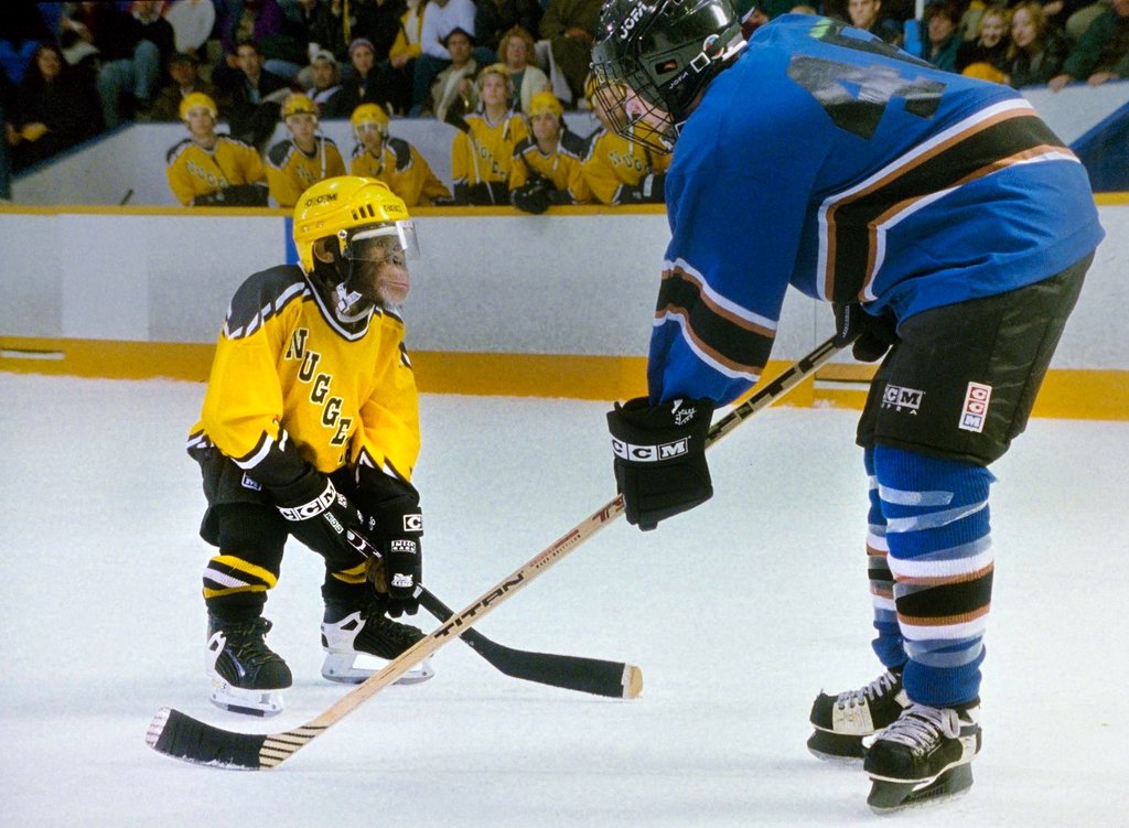 Photo du film MVP: Mon Vaillant Primate