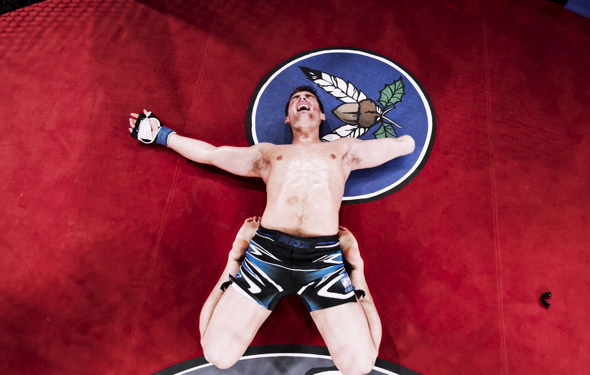 Photo du film Notorious Nick