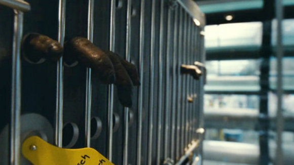 Photo du film La Montée de la planète des singes