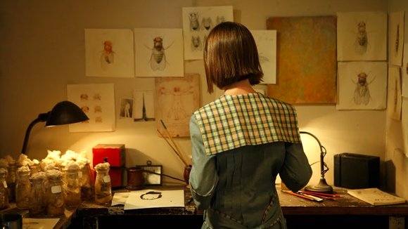 Photo du film The Fly Room