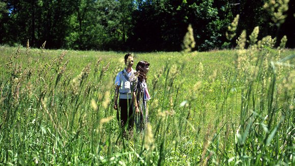 Photo du film The Fly Room