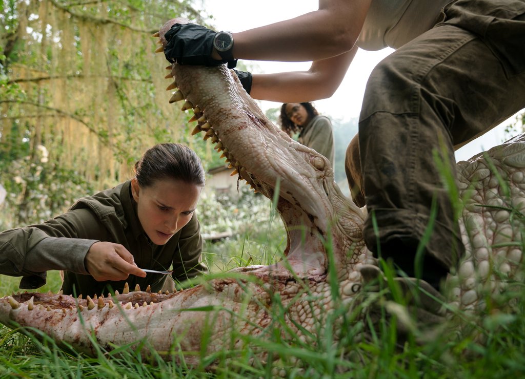 Photo du film Annihilation v.f.