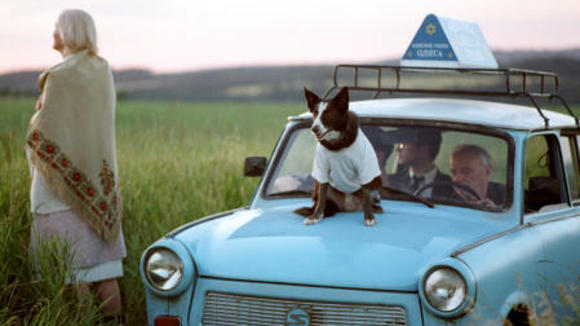 Photo du film Everything Is Illuminated