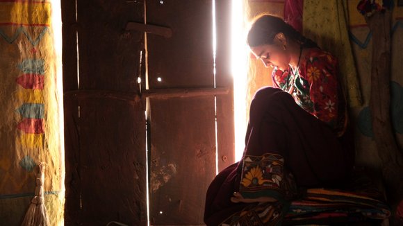 Photo du film La Saison des femmes