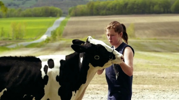 Photo from the movie Le Plancher des vaches