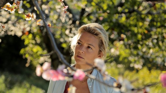 Photo du film Le Goût des merveilles