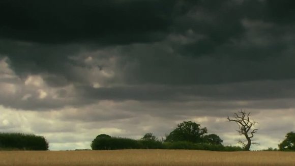 Photo du film Everyday