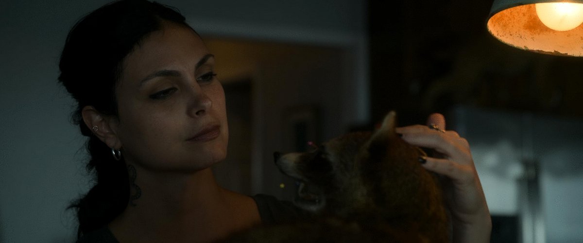 Photo from the movie Gun Monkeys