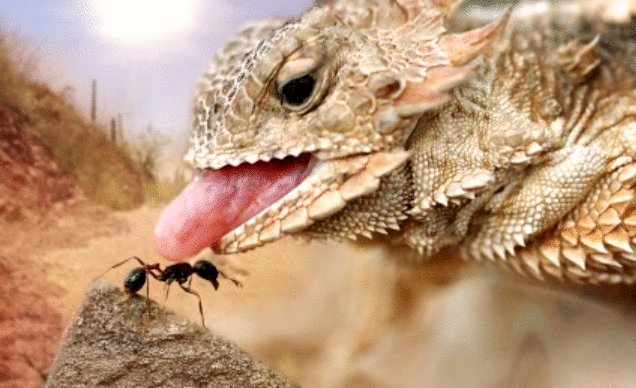 Photo from the movie Tiny Giants