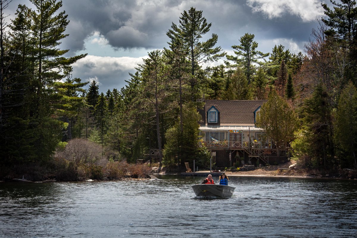 Photo from the movie The Wolf and the Lion