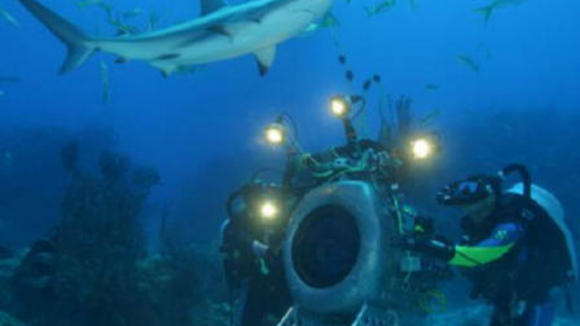 Photo du film Sous les mers du monde