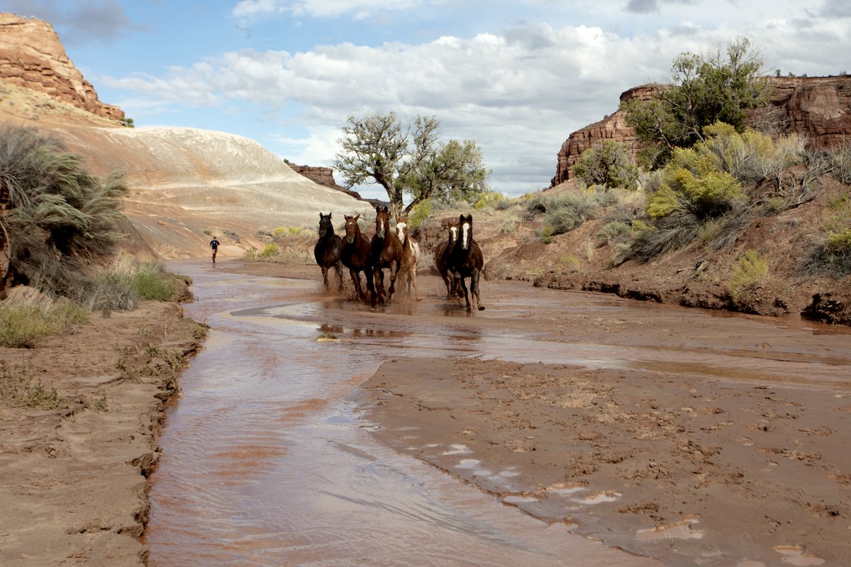 Photo du film Au coeur de la nature sauvage