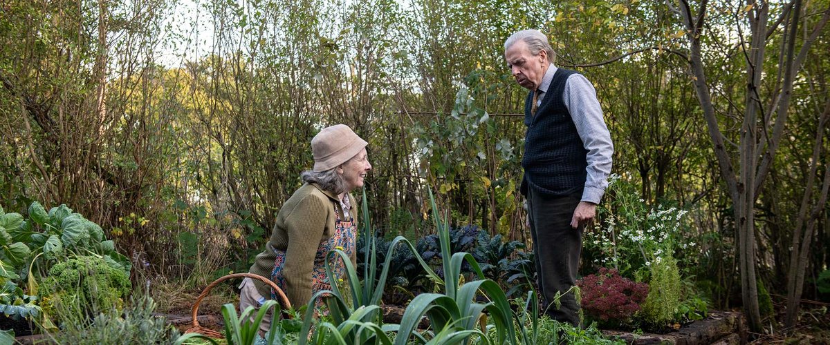 Photo du film The Last Bus