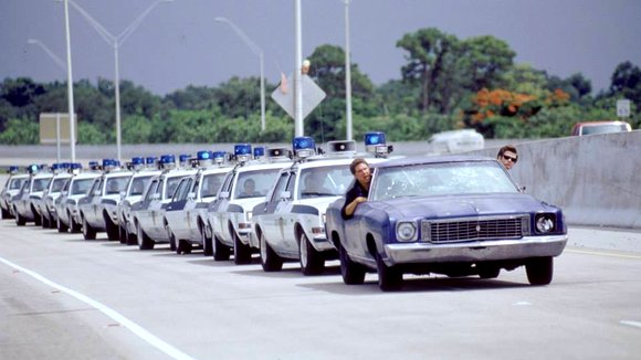 Photo from the movie Ace Ventura: Pet Detective