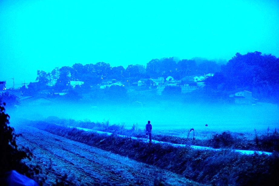 Photo du film Burning: Les Granges brûlées