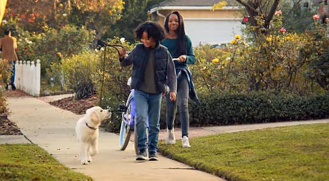 Photo du film Puppy Place