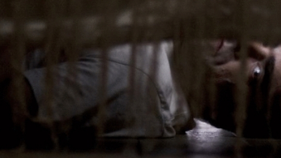 Photo du film Malveillance