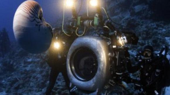 Photo du film Merveilles des mers