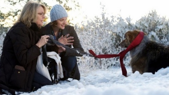 Photo du film Darling Companion