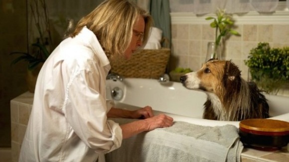 Photo du film Darling Companion