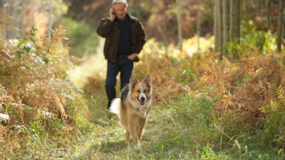 Photo du film Darling Companion