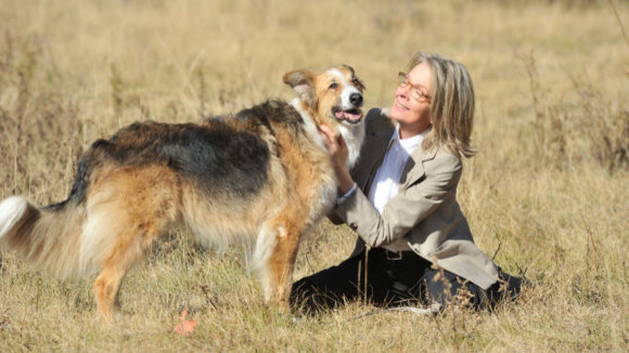 Photo du film Darling Companion