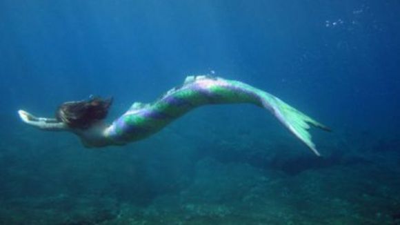 Photo du film Fishtales