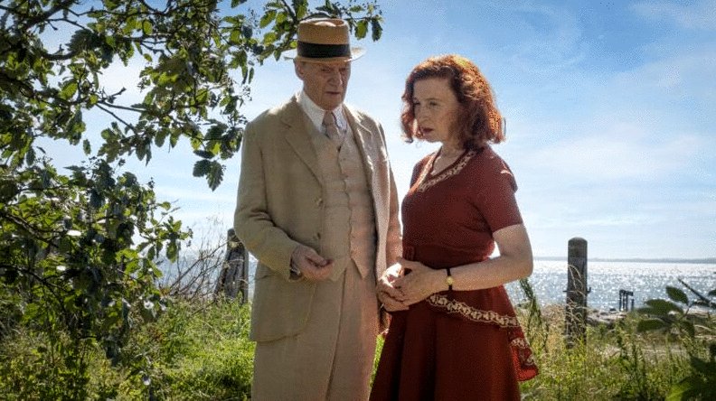 Photo du film De forbandede år 2