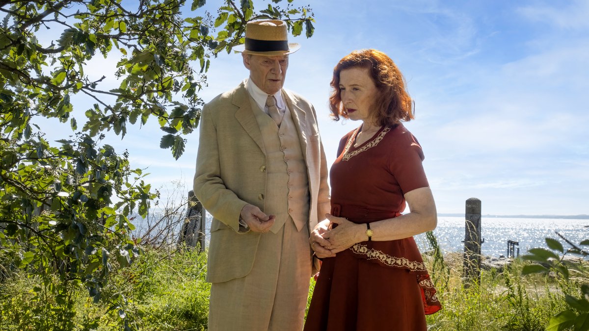 Photo du film De forbandede år 2