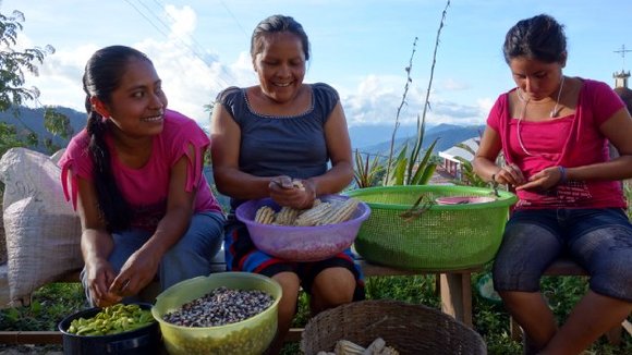 Photo from the movie Seed: The Untold Story