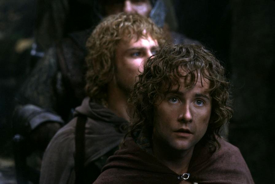 Photo du film The Lord of the Rings: The Fellowship of the Ring