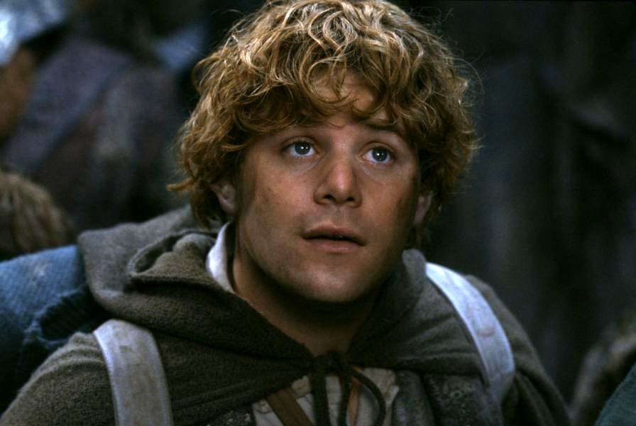 Photo du film The Lord of the Rings: The Fellowship of the Ring