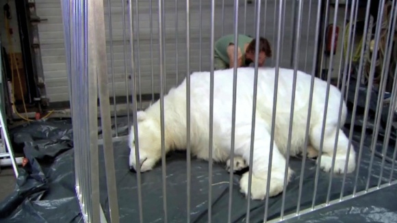 Photo du film The Yes Men Are Revolting