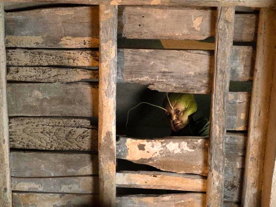 Photo from the movie Pinocchio