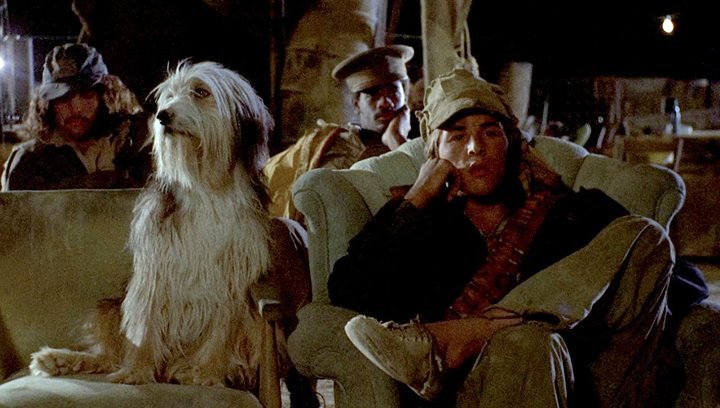 Photo du film A Boy and His Dog