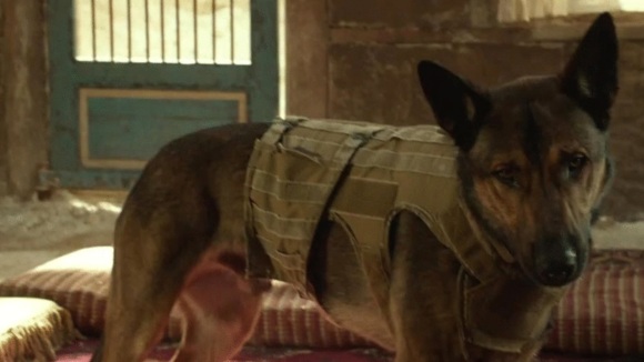 Photo from the movie Max