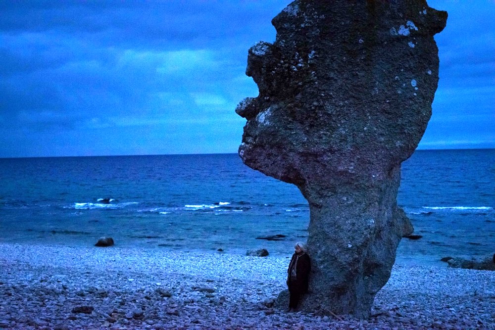 Photo from the movie Searching for Ingmar Bergman