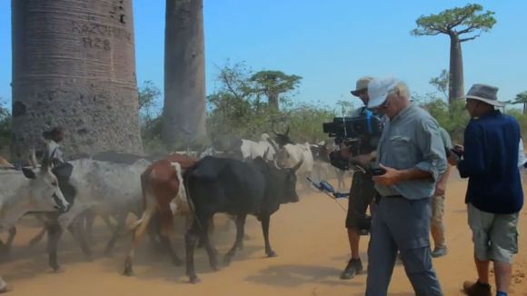 Photo from the movie Island of Lemurs: Madagascar